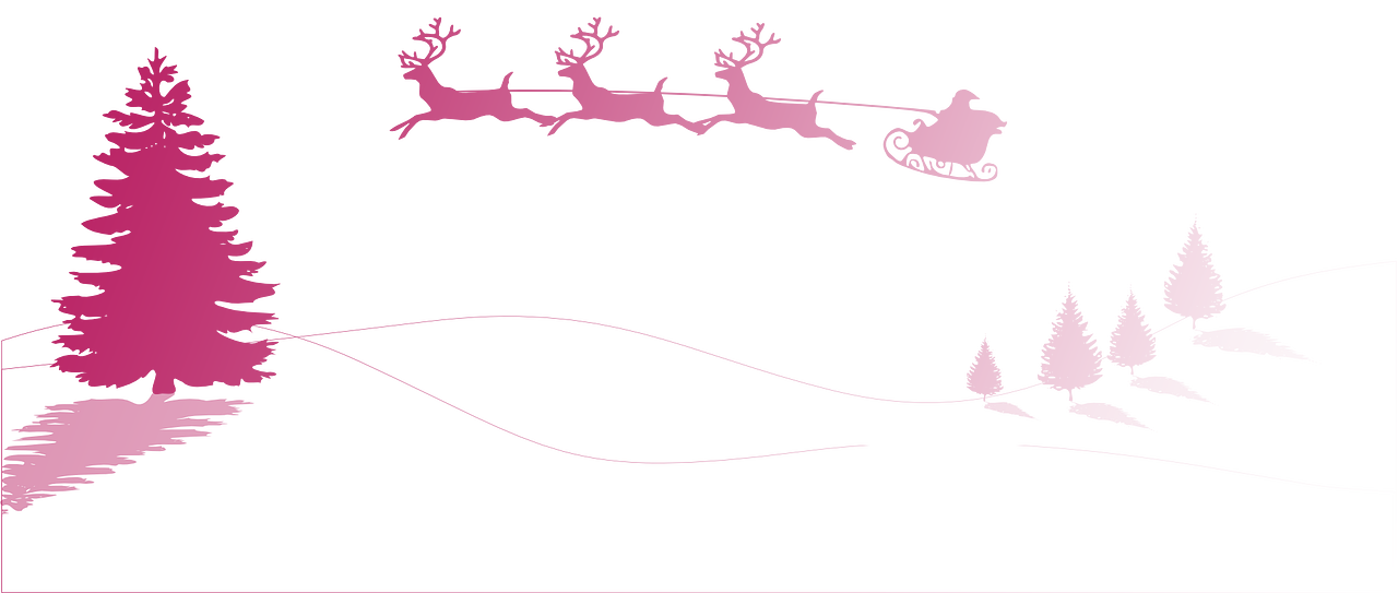 Animations de Noël 2018/2019 de l'Ardenne Métropole