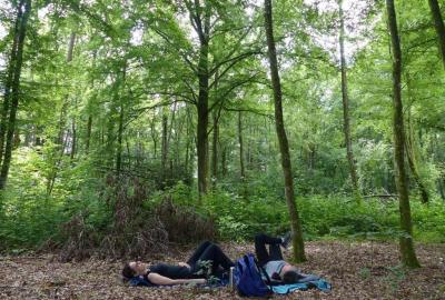 Eco-touriste le temps d'un week-end en Ardenne