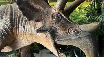 Expo Découverte : l'histoire des dinosaures